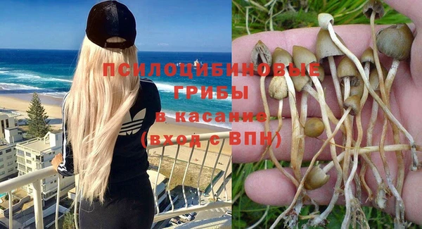 прущие крисы Бугульма