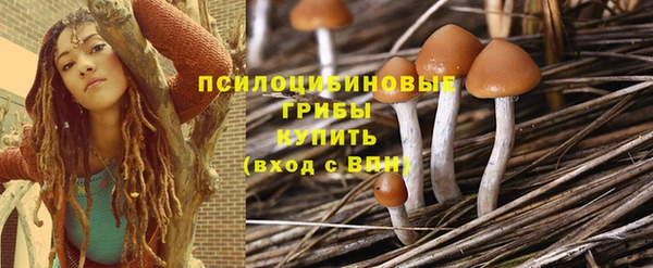 прущие крисы Бугульма